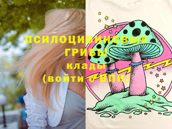 стафф Богородск