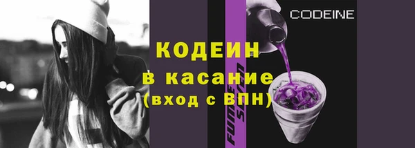 ECSTASY Богданович