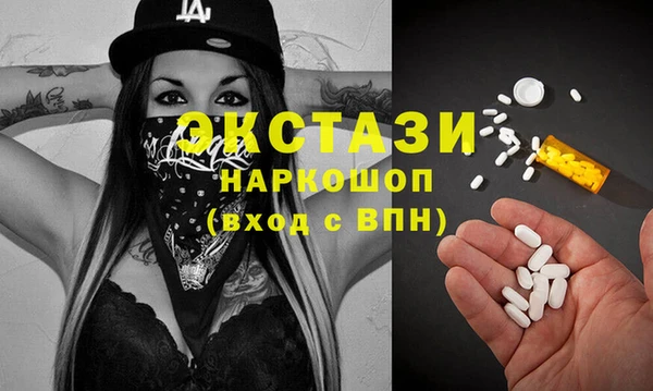ECSTASY Богданович