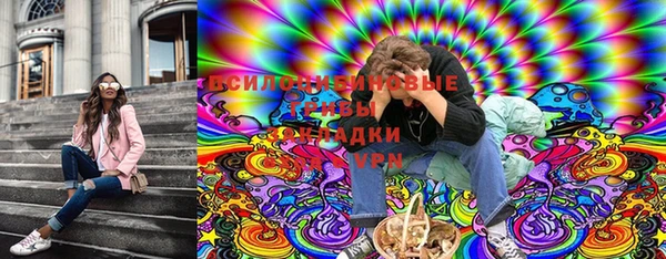 стафф Богородск
