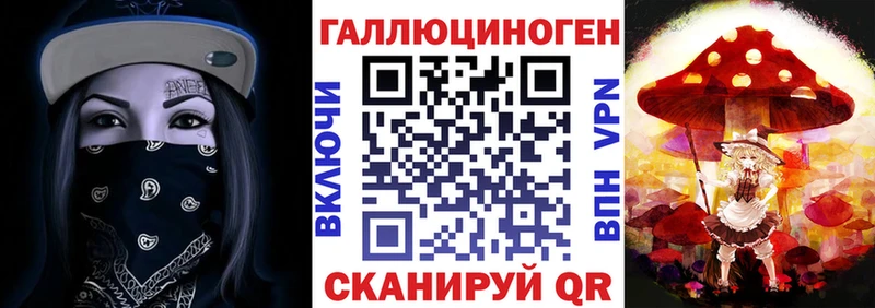 Галлюциногенные грибы Psilocybe  Шилка 