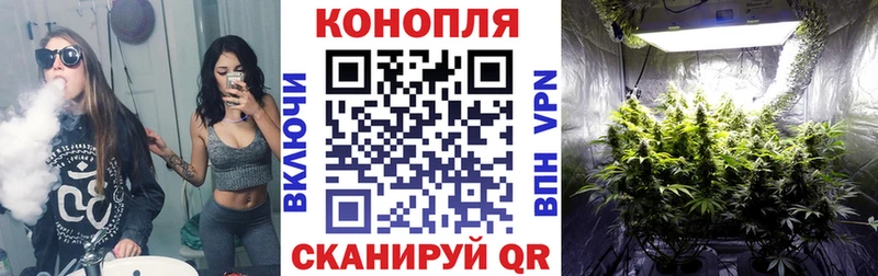 Марихуана Ganja  где купить   mega зеркало  Шилка 